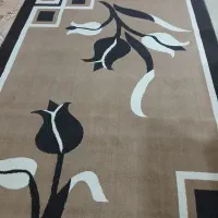 کلیم  زیبا وسالم در حد نو