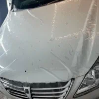 کاور سقف و بدنه و شیشه دودی و بادی فنس