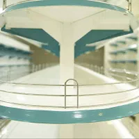 قفسه وسط باقوس|فروشگاه و مغازه|اردبیل, |دیوار