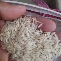 برنج|خوردنی و آشامیدنی|کرمانشاه, |دیوار