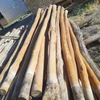 خرید و فروش انواع چوب