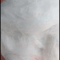 فروش انواع الیاف وکلک پتو|رختخواب، بالش، پتو|دزفول, |دیوار