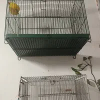 قفس سهره غلامی