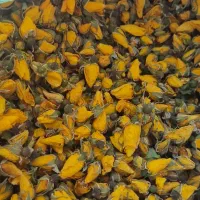 استخدام نیروی خانم در شهرک صنعتی شیراز