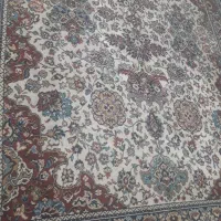 قالی|فرش|اهواز, کوی فرهنگیان ۱|دیوار