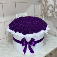 باکس روبانی