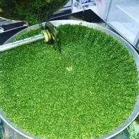 سبزی اماده کیلو ۴۵ هزار خورشتی و کوکو و آش