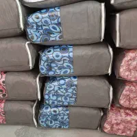 تشک دوبل زیپ دار قطر ۱۰ سانتی متر|رختخواب، بالش، پتو|گرگان, |دیوار