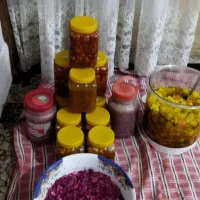 انواع ترشی