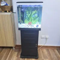 آکواریوم  شیشه خم شرکتی