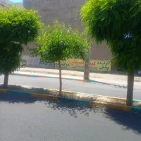 فروش-زمین-سندار
