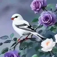 شغل برای خانم17 18 سال در خانه