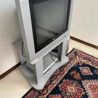 تلویزیون