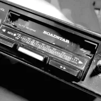 ضبط روداستون کاست خور ژاپنی