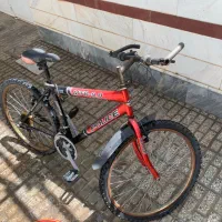 دوچرخه mtb (police)