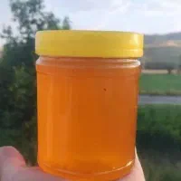 500 کیلوعسل خالص کوه بدون قطره ای شکر