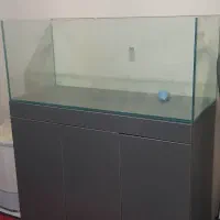 آکواریوم apa