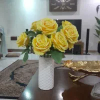 گل  خارجی وجدیدنووگلدان چینی
