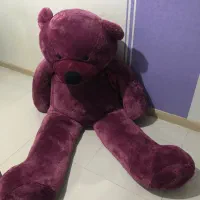 خرس ۳ متری.