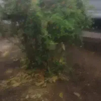 فروش وام مهربانی