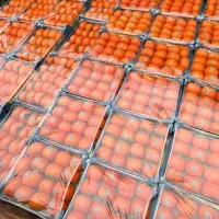 سرمایه گذاری شراکت در کسب و کار گسترش کار|استخدام مالی، حسابداری، حقوقی|تهران, میدان میوه و ترهبار مرکزی|دیوار