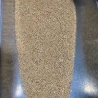 بذر یونجه محلی