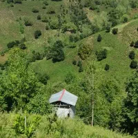 باغ-تامسون-با-چشم-انداززیبا