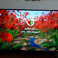 تلویزیون 43 اینچ TCL با اندرید ۱۱|تلویزیون و پروژکتور|مشهد, مشکینی (شهرک غرب)|دیوار