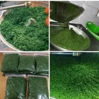 فروش سبزی خروشتی