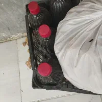 لوبیا چیتی کشمش شیره انگور|خوردنی و آشامیدنی|اسلامشهر, شهرک توحید|دیوار