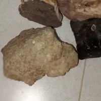 سنگ قیمتی|کلکسیون و سرگرمی|رباط‌کریم, نصیرشهر|دیوار