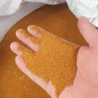 خاکشیر