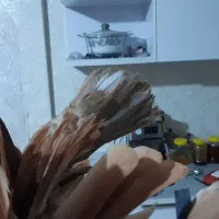 صرب سرخ ابادانی|پرنده|شیراز, شهرک مهرگان|دیوار