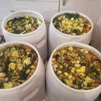ترشی مخلوط|خوردنی و آشامیدنی|اصفهان, ارغوانیه|دیوار