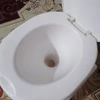 توالت فرنگی