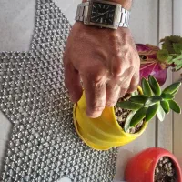 ساعت مچیLAROS|ساعت|کرج, بنیاد|دیوار