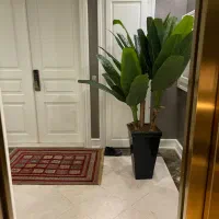 فروشنده خانم