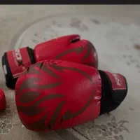 دستکش بوکس