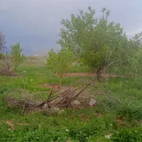 باغ-2400متری