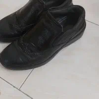 کفش مجلسی سایز ۴۲|کیف، کفش، کمربند|تهران, تهران‌نو|دیوار