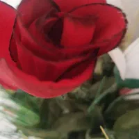 ضامن برای وام اشتغالزایی