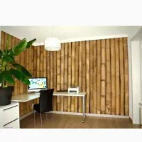 نی نیزار (بامبو)|گل و گیاه طبیعی|سرخرود, |دیوار