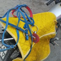 زین دهنه کورسی