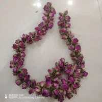 غنچه گل محمدی|خوردنی و آشامیدنی|خوسف, |دیوار