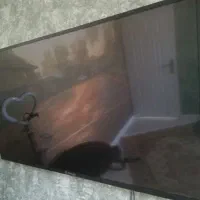 تلویزیون اسنوا