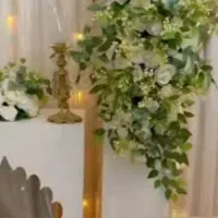 جایگاه عربی «عروس داماد»