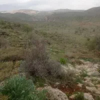زمین تجاری مسکونی آلمینیوم سازان