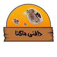 دافنی ماگنا غذای زنده ماهی با تکثیر آسان|ماهی|اصفهان, نصرآباد|دیوار