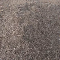 کود گوسفندی|گل و گیاه طبیعی|جیرفت, |دیوار