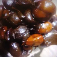 سیر ترشی ۸ساله خواص درمانی ارگانیک